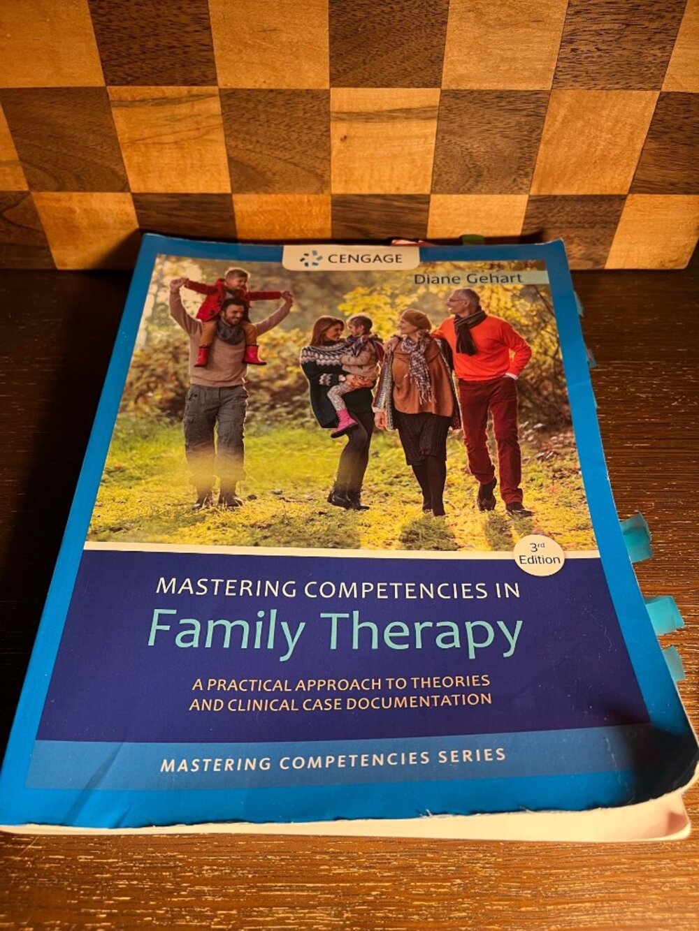 Mastering Competencies in Family Therapy Book Diane Gehart